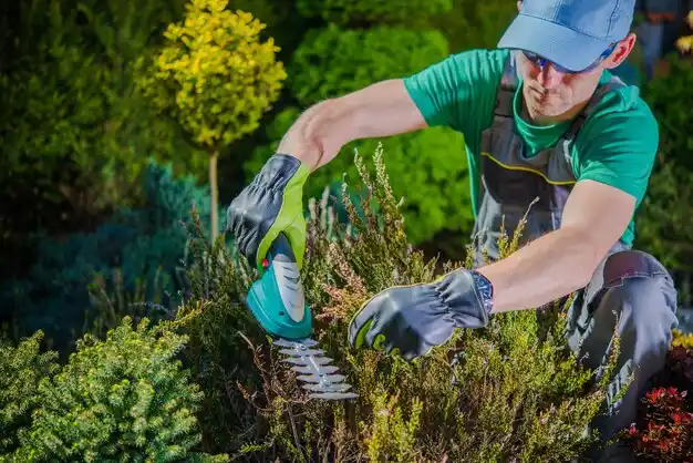 landscaping services Jamesport
